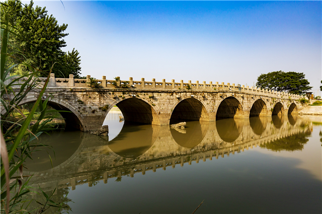 _10A7064-1.jpg